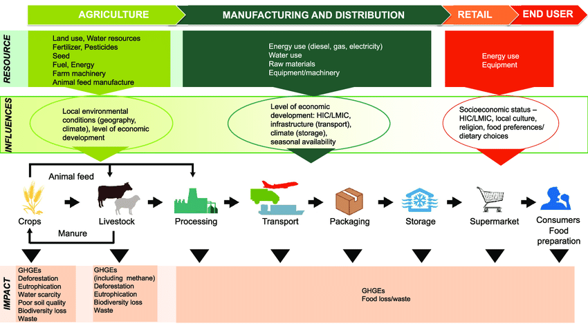 graphic depicting the linear inputs and stages of an industial food systems