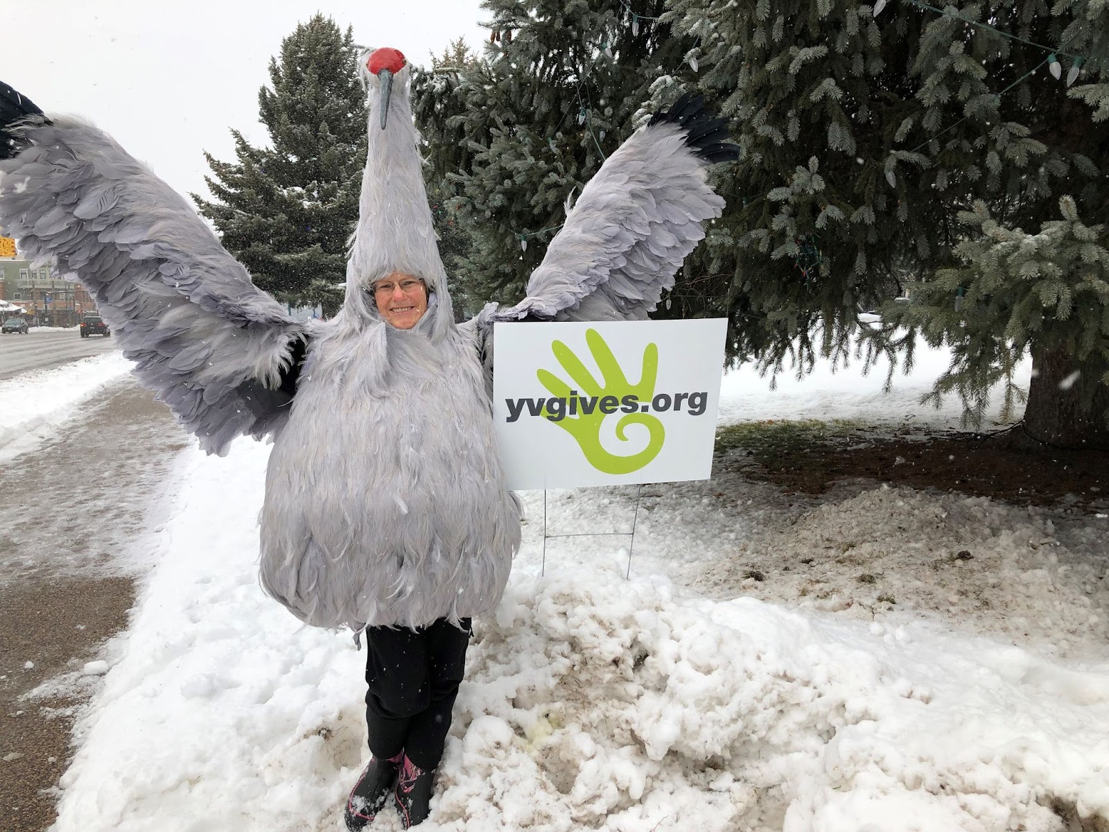 yampa valley gives honk wave