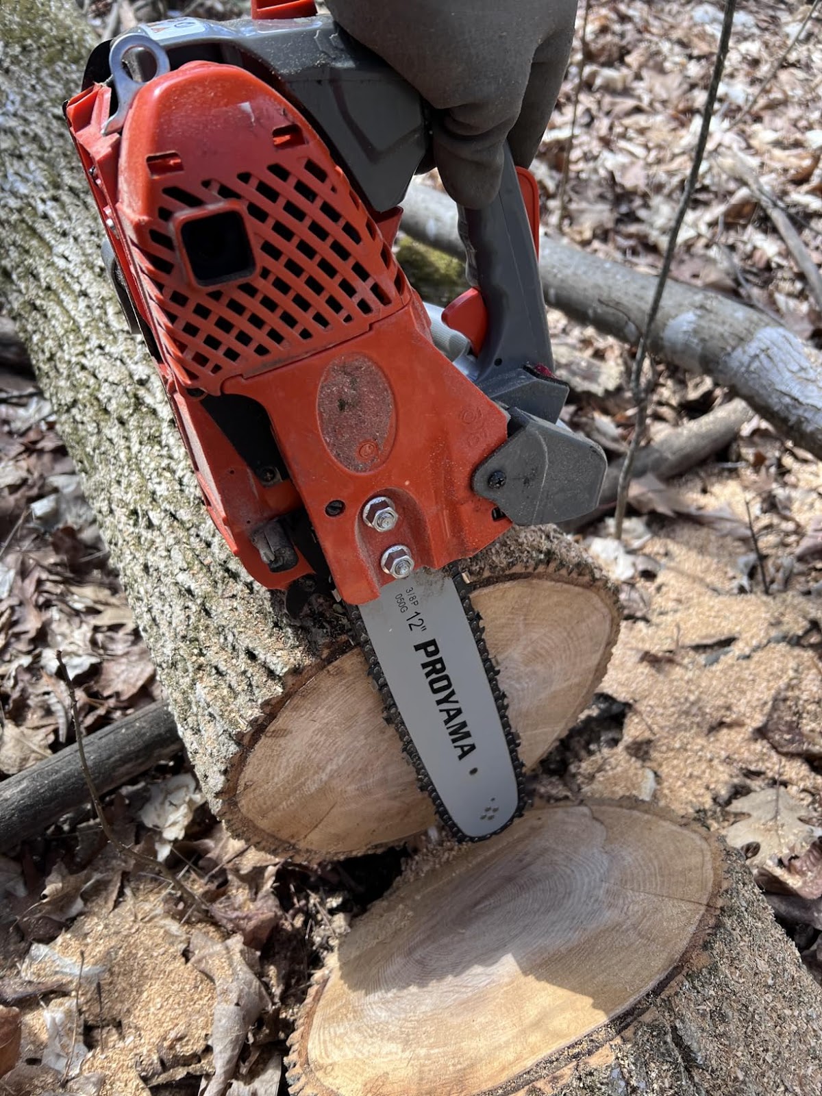Cutting with Proyama Top Handle Chainsaw
