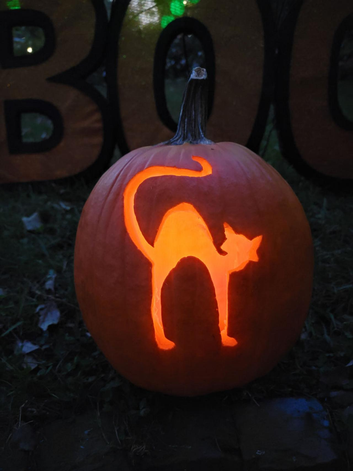 Pumpkin Carving Ideas