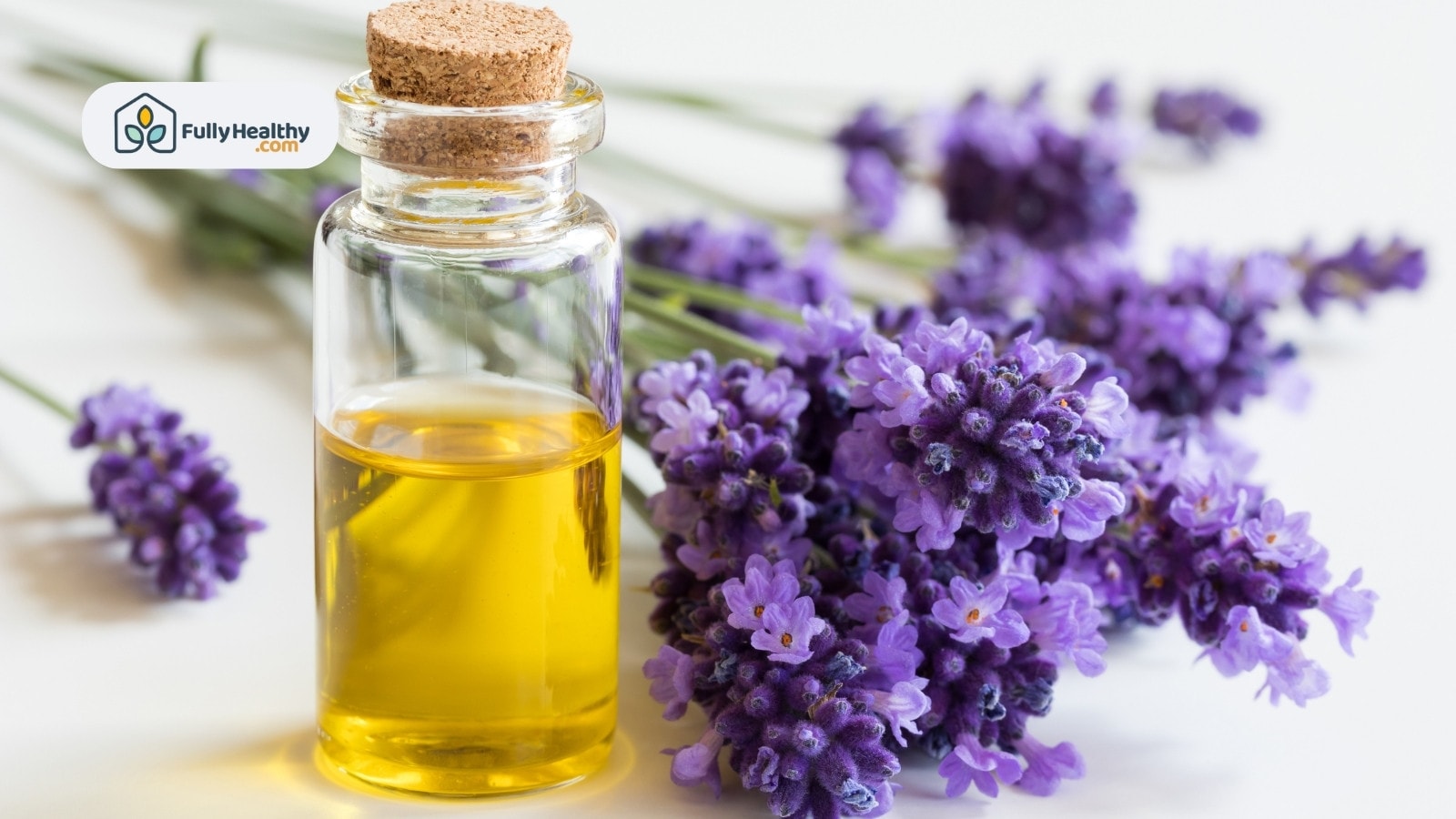 Bottle of lavender essential oil beside fresh purple lavender flowers