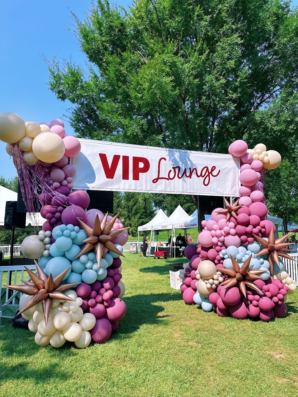 balloon Arch Mexford