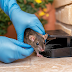 Why Professional Rat Removal in Houston is Essential for Your Home 