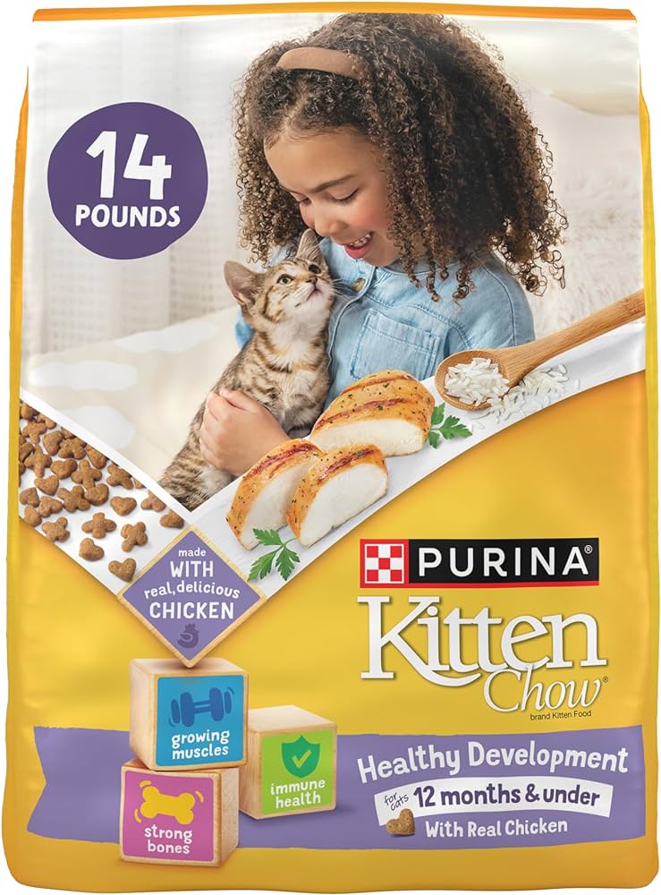 Purina Kitten Dry Food: Nourish Your Feline's Future!