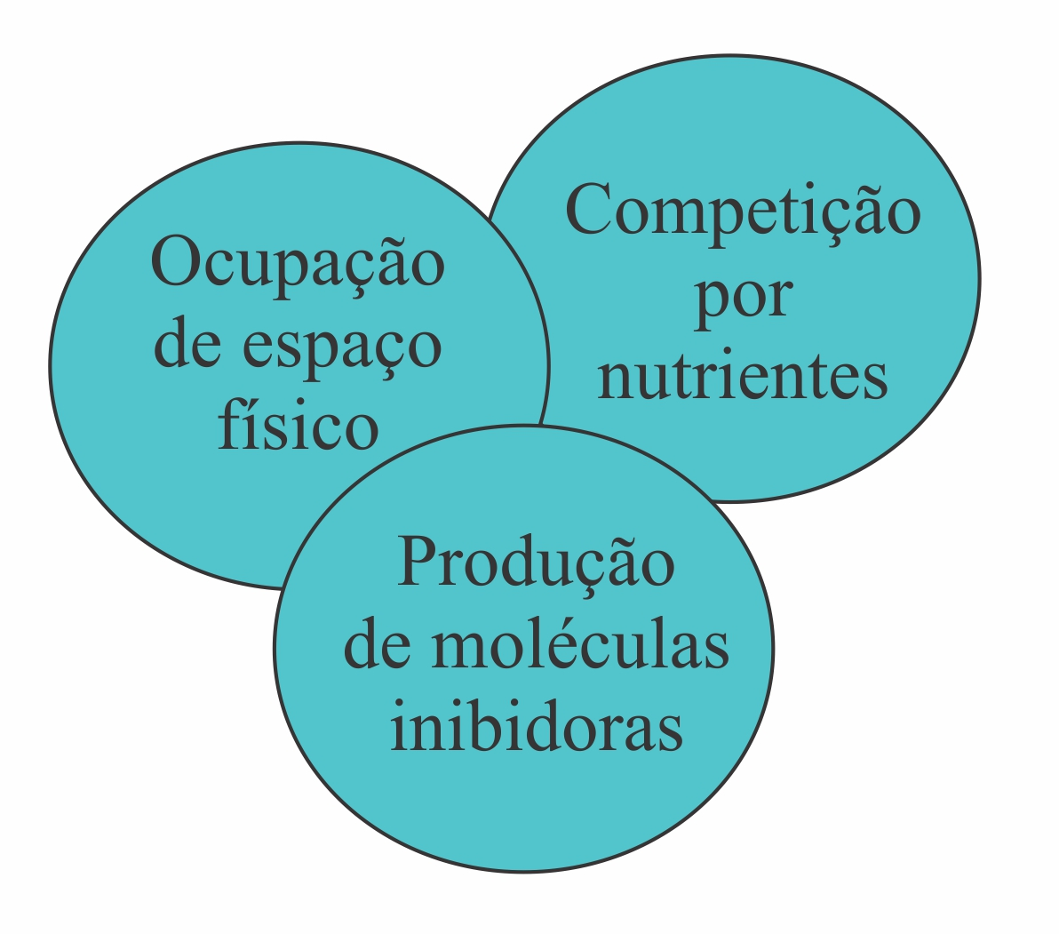 Diagrama, Diagrama de Venn

Descrição gerada automaticamente