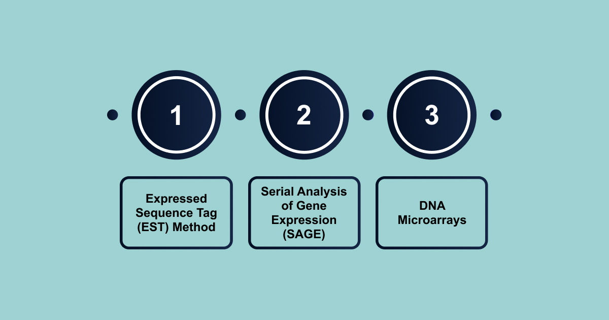Traditional RNA Sequencing Techniques