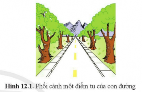 BÀI 12: HÌNH CHIẾU PHỐI CẢNH