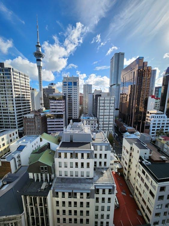 Free Downtown of Auckland Stock Photo