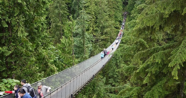 Capilano Suspension Bridge Park