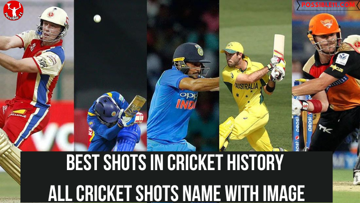 Best shots in cricket history, All cricket shots name with image