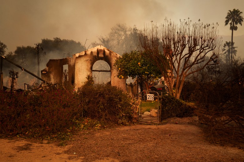 A burned-out structure with scorched walls and an arched doorway stands amidst charred vegetation. Smoke lingers in the background, and a partially intact gate with the number '203' leads to the property. A few green trees and palm trees remain standing in the hazy, orange-lit landscape.