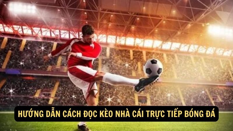 Hướng dẫn Cách đọc kèo nhà cái trực tiếp bóng đá