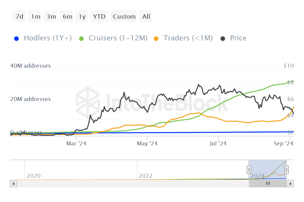 Distribuzione degli indirizzi degli investitori Toncoin.