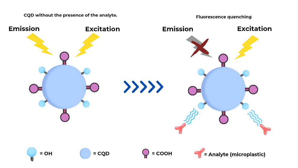 A diagram of a cell

AI-generated content may be incorrect.