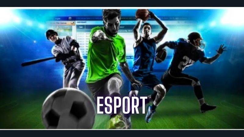 Esport.beauty – Địa chỉ cá độ esport chất lượng cực xanh chín