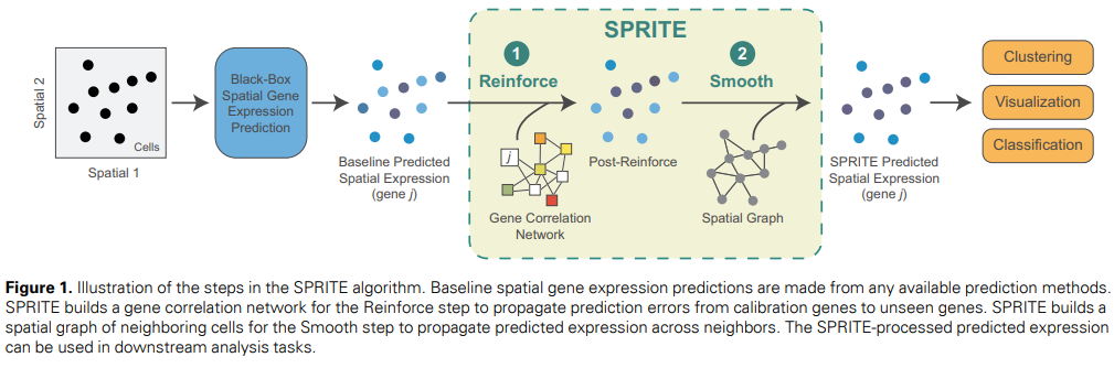 SPRITE (Spatial Propagation and Reinforcement of Imputed Transcript Expression): Enhancing Spatial Gene Expression Predictions and Downstream Analyses Through Meta-Algorithmic Integration