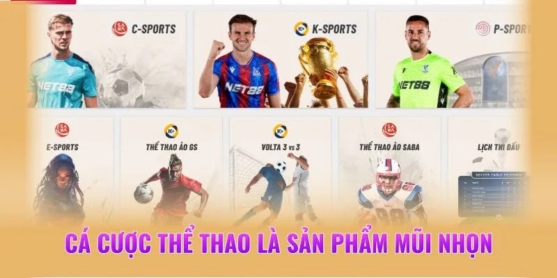 Thể thao NET88 giới thiệu nhanh