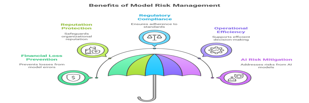  importance of risk management