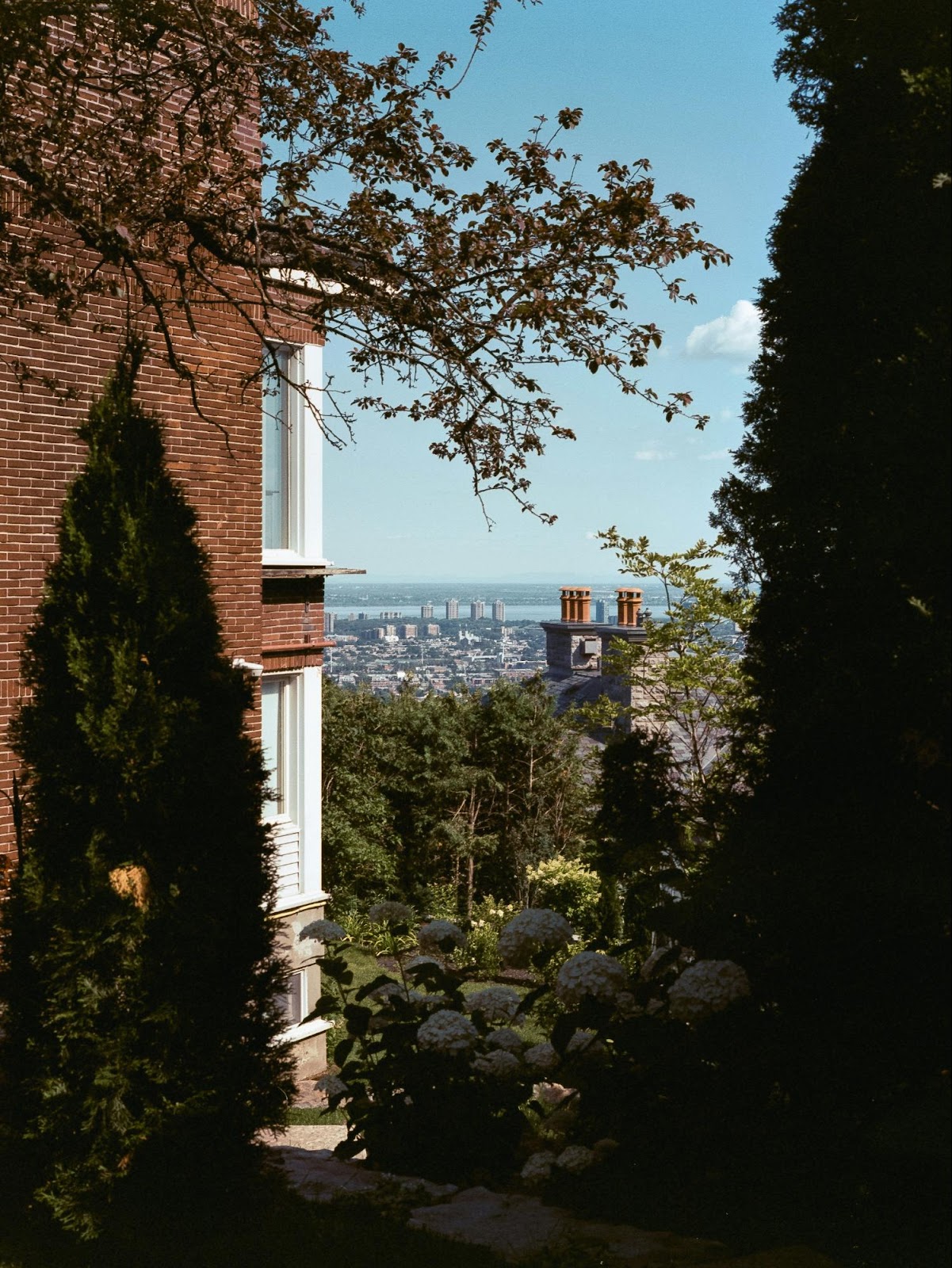 View from the terrace of Wrigley Mansion with cityscape.