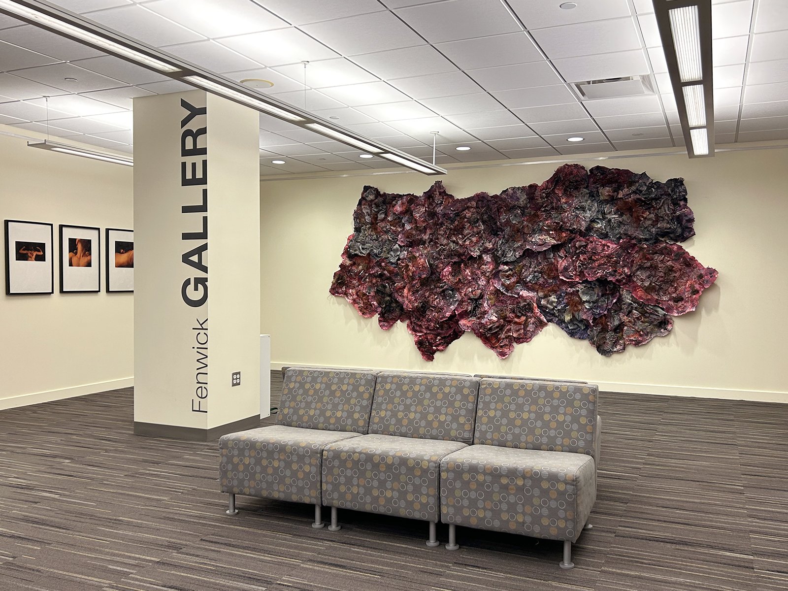 View of Fenwick Gallery with a large, amorphous paper sculpture in tones of blood red and gray (like a healing scab or bruise) and a series of photographic portraits of a figure posed with rotting fruit.