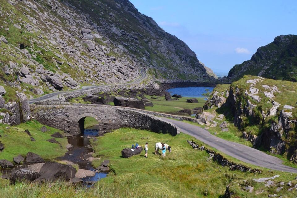 Ride, Bloom, Repeat: Ireland’s Spring Like You’ve Never Seen It - Pogo Cycles