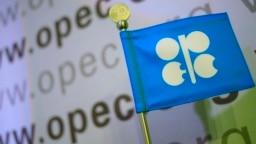 գʯ֯ŷ (OPEC)ʶ