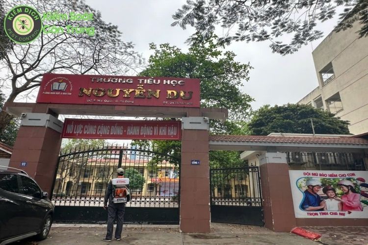 Xử lý côn trùng hiệu quả - Giải pháp an toàn cho gia đình và doanh nghiệp