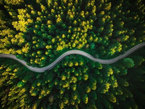 25 Nature Photos That Calm the Overthinking Mind, peaceful photos, nature therapy, nature, forest, landscape, mindful scenery, emotional calm