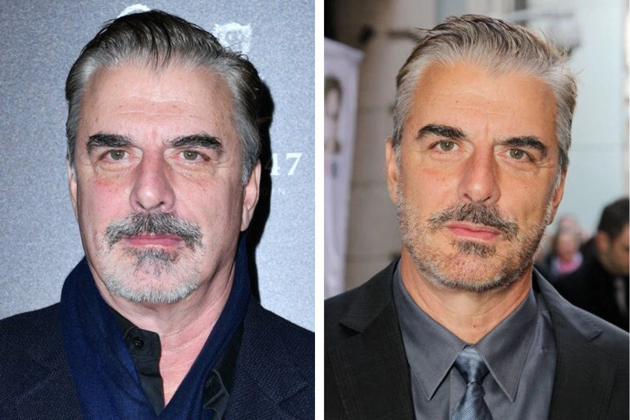 Chris Noth Net Worth, Biography, Early Life, Education, Age, Height, Family, Relationship, Personal Life, Career, and More