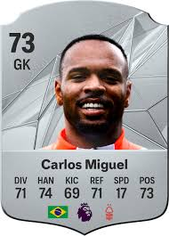 Carlos Miguel dos Santos