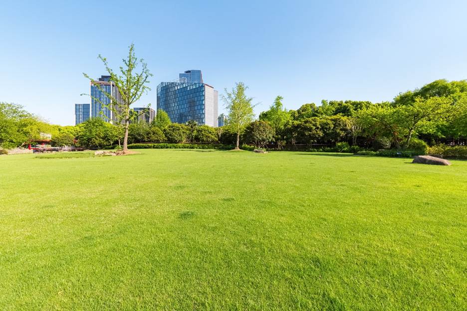 A grass field with trees and buildings in the background</p>
<p>AI-generated content may be incorrect.