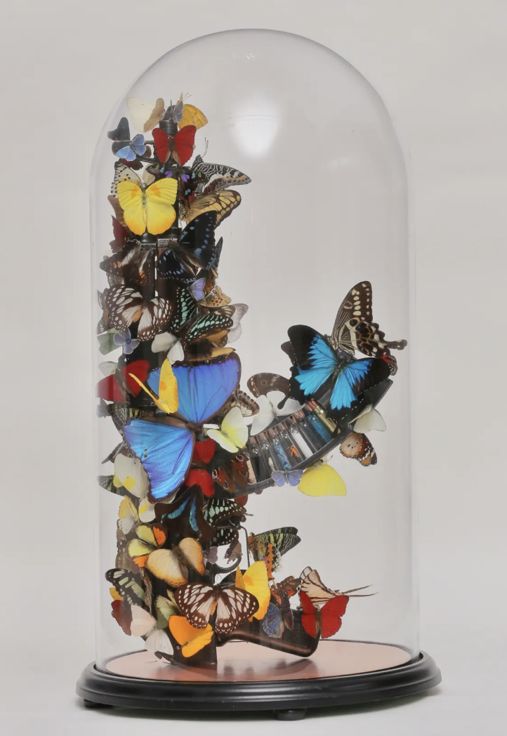 In Pappillon Prevails, Bran Symondson covers an AK47 machine gun with real butterflies in a glass dome, among the most thought provoking animal artworks.
