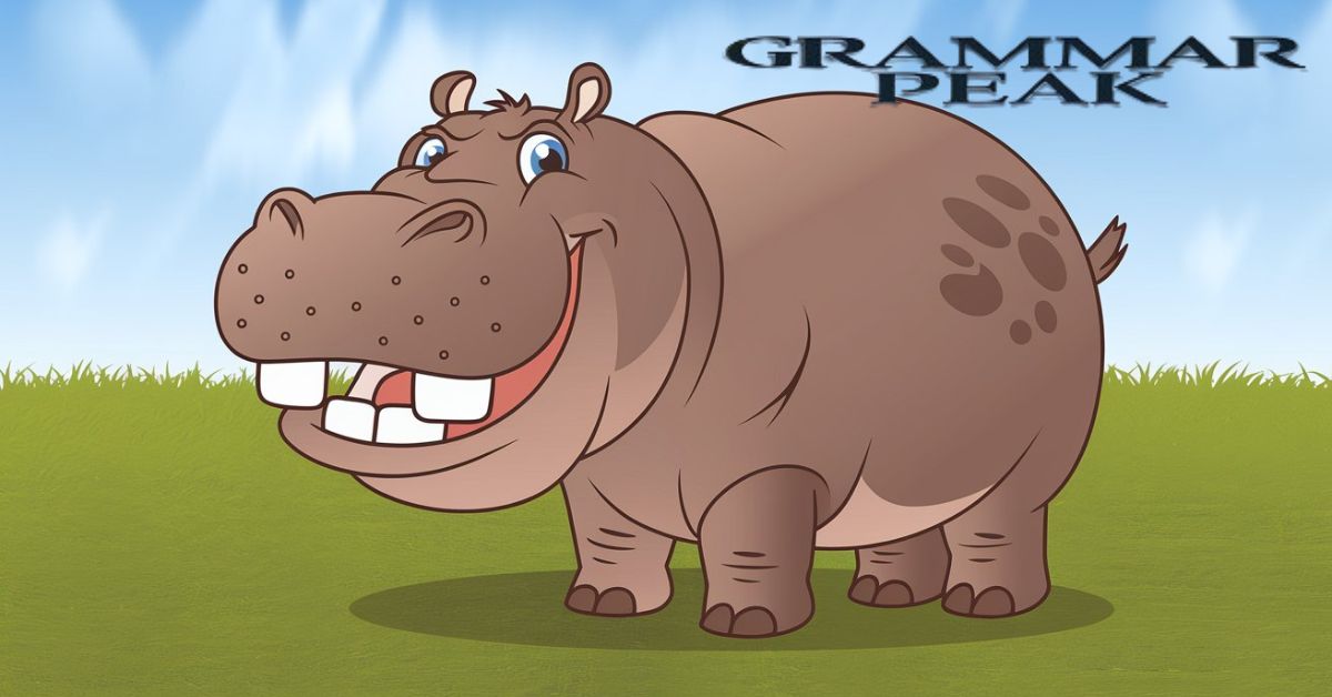 What is a Hippopotamus?