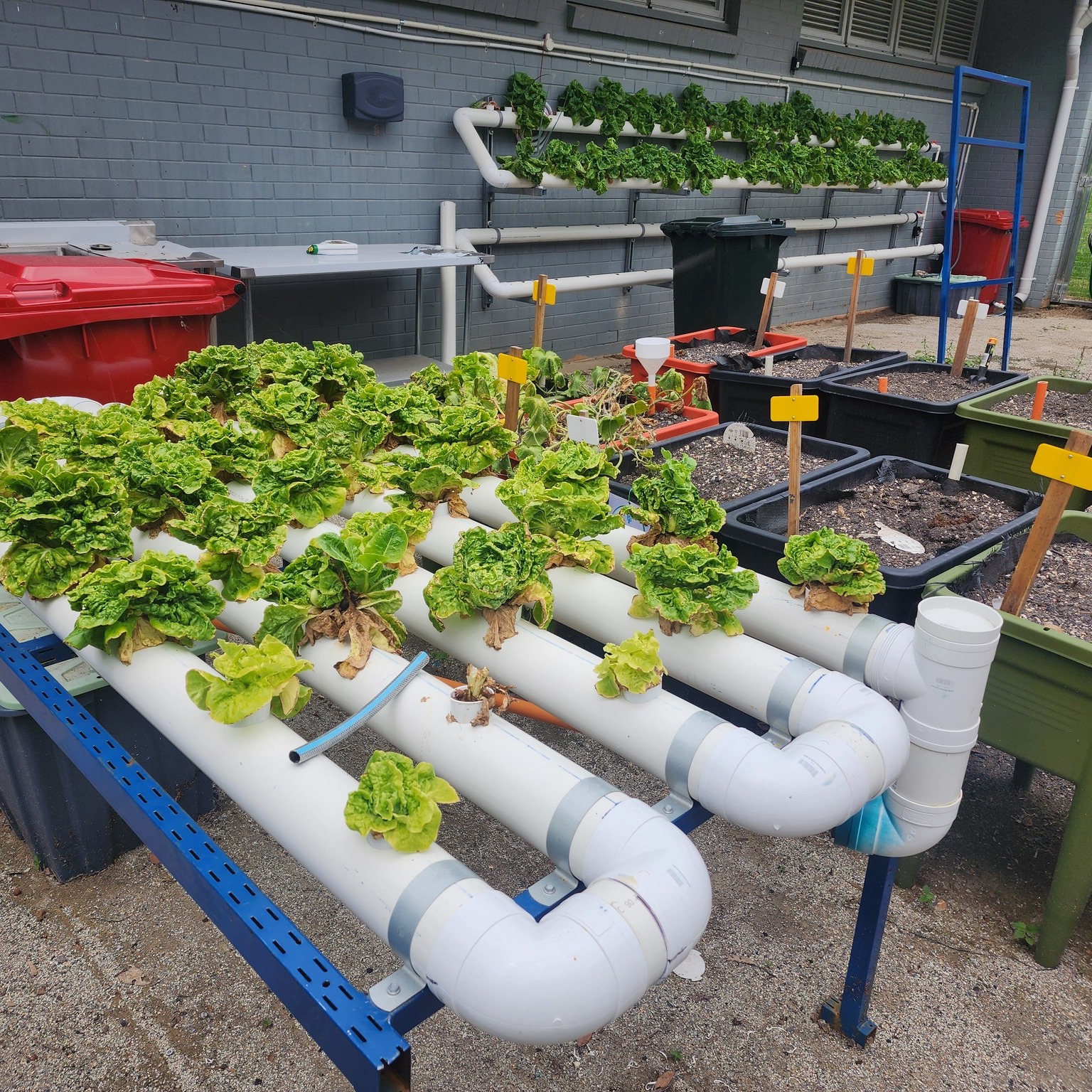 Community Garden