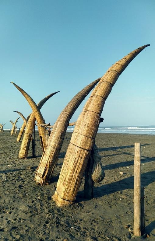 Un grupo de cestas en una playa
Descripción generada automáticamente