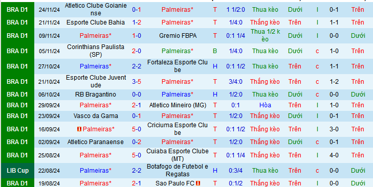 Thông tin đội nhà: Palmeiras