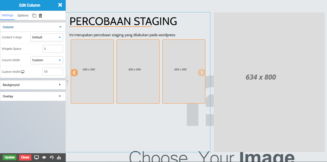 Cara Membuat Staging Website