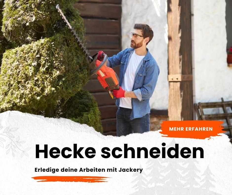 Hecke schneiden: Wann ist der richtige Zeitpunkt?