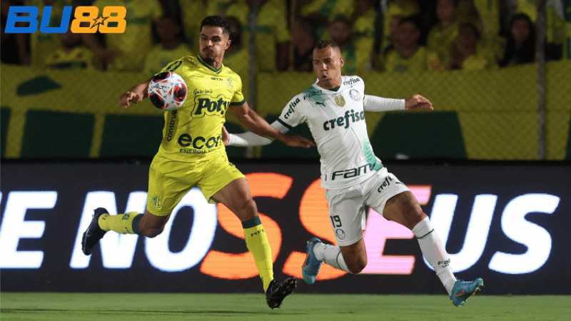 Lịch sử đối đầu Palmeiras vs Mirassol