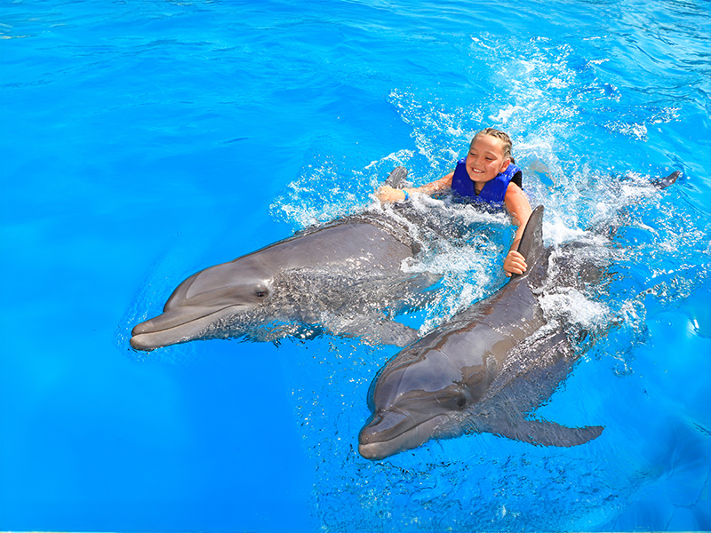 Girl playing with two dolphins