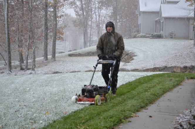 Winter Lawn Fertilizer