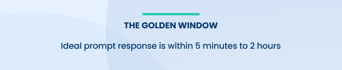 the golden window 