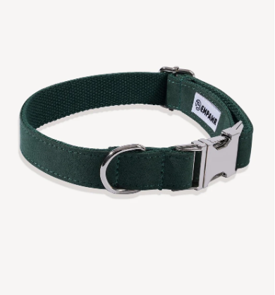 A close-up of an Empwr brand dog collar in a dark green color.