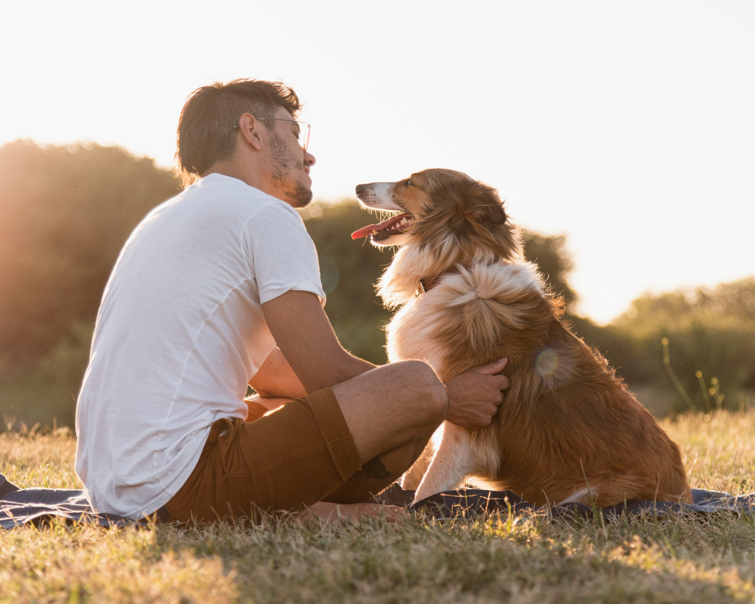 A man sitting in a grassy field, affectionately talking to his dog