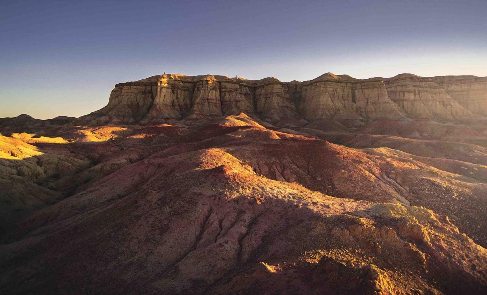 Drive straight through paved roads to explore Hustai National Park.