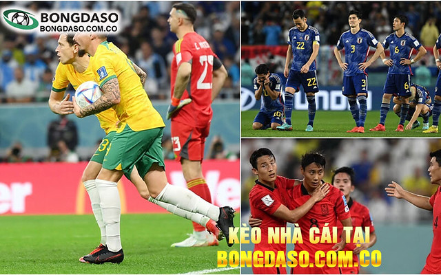 Bongdaso - Khám Phá Thế Giới Bóng Đá Và Những Sự Kiện Nổi Bật