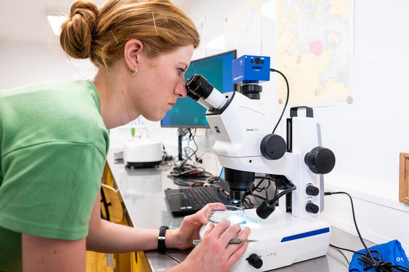 A person in green tshirt looks into a scientific microsope in a laboratory setting. 