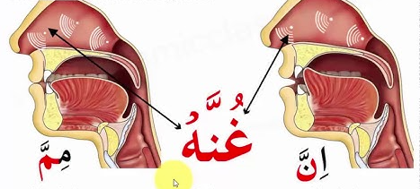 Nose Letters In Arabic