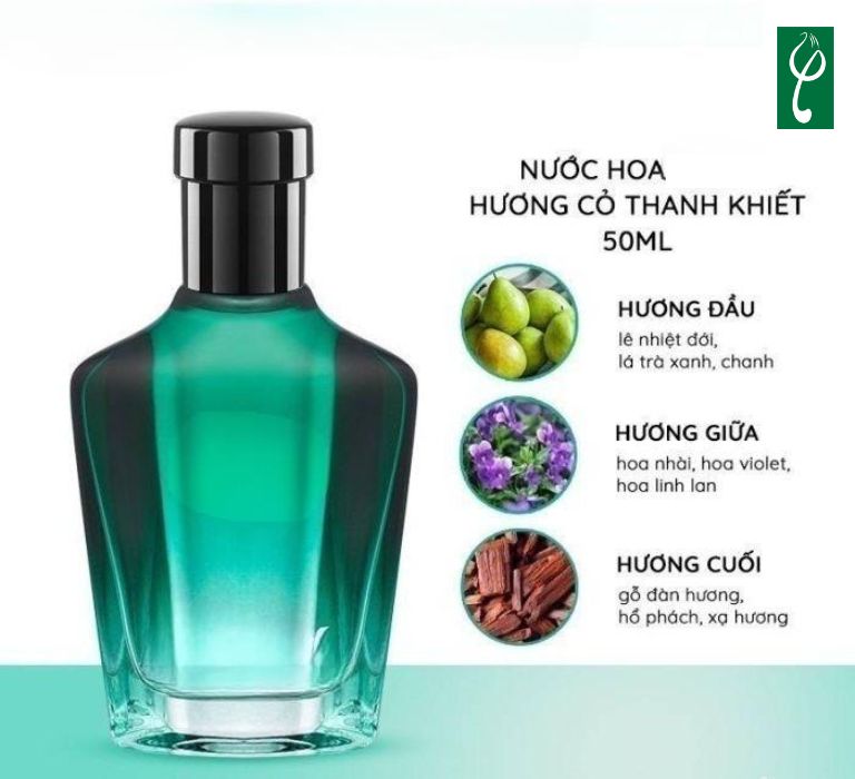 Gia công nước hoa hương cỏ giúp chủ đầu tư đáp ứng nhu cầu thị trường rộng lớn nhanh chóng