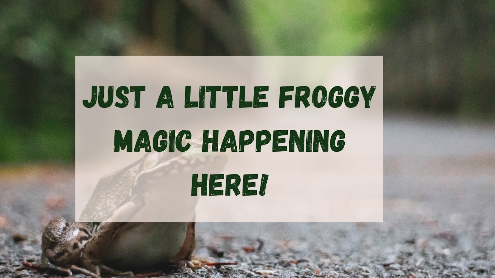 Just a little froggy magic happening here!